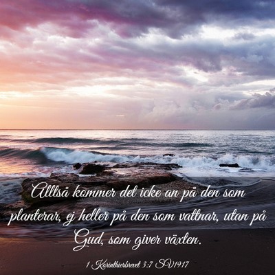 Picture 03 - 1 Korinthierbrevet 3:7 SV1917 - Alltså kommer det icke an på den som planterar, - Bible Verse Picture