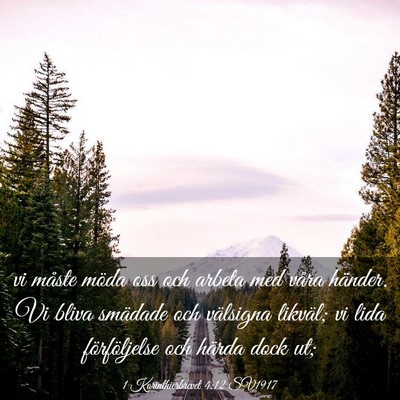 Picture 03 - 1 Korinthierbrevet 4:12 SV1917 - vi måste möda oss och arbeta med våra händer. - Bible Verse Picture