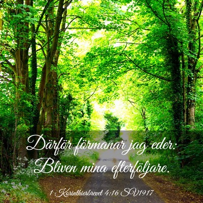 Picture 03 - 1 Korinthierbrevet 4:16 SV1917 - Därför förmanar jag eder: Bliven mina - Bible Verse Picture