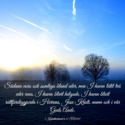 Picture 03 - 1 Korinthierbrevet 6:11 SV1917 - Sådana voro ock somliga bland eder, men I haven - Bible Verse Picture