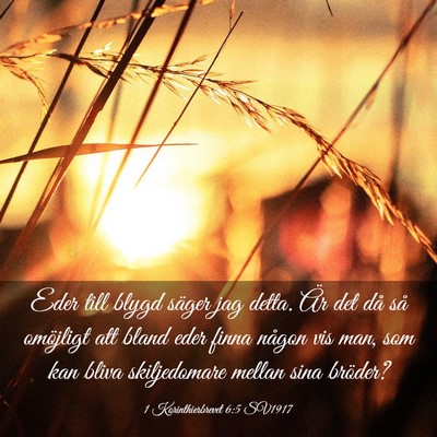 Picture 03 - 1 Korinthierbrevet 6:5 SV1917 - Eder till blygd säger jag detta. Är det då så - Bible Verse Picture