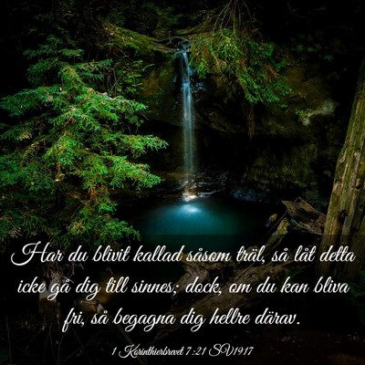 Picture 03 - 1 Korinthierbrevet 7:21 SV1917 - Har du blivit kallad såsom träl, så låt detta - Bible Verse Picture
