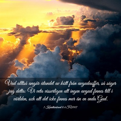 Picture 03 - 1 Korinthierbrevet 8:4 SV1917 - Vad alltså angår ätandet av kött från - Bible Verse Picture
