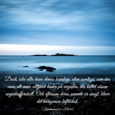 Picture 03 - 1 Korinthierbrevet 8:7 SV1917 - Dock, icke alla hava denna kunskap, utan somliga, - Bible Verse Picture