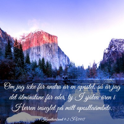 Picture 03 - 1 Korinthierbrevet 9:2 SV1917 - Om jag icke för andra är en apostel, så är - Bible Verse Picture