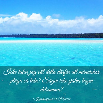 Picture 03 - 1 Korinthierbrevet 9:8 SV1917 - Icke talar jag väl detta därför att människor - Bible Verse Picture