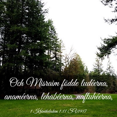 Picture 03 - 1 Krönikeboken 1:11 SV1917 - Och Misraim födde ludéerna, anaméerna, - Bible Verse Picture