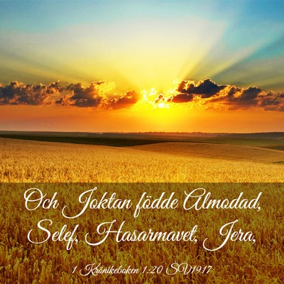 Picture 03 - 1 Krönikeboken 1:20 SV1917 - Och Joktan födde Almodad, Selef, Hasarmavet, - Bible Verse Picture