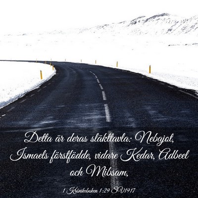 Picture 03 - 1 Krönikeboken 1:29 SV1917 - Detta är deras släkttavla: Nebajot, Ismaels - Bible Verse Picture