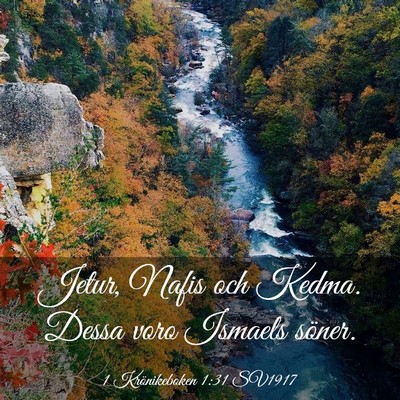 Picture 03 - 1 Krönikeboken 1:31 SV1917 - Jetur, Nafis och Kedma. Dessa voro Ismaels - Bible Verse Picture