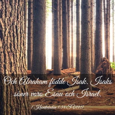 Picture 03 - 1 Krönikeboken 1:34 SV1917 - Och Abraham födde Isak. Isaks söner voro Esau - Bible Verse Picture