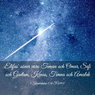 Picture 03 - 1 Krönikeboken 1:36 SV1917 - Elifas' söner voro Teman och Omar, Sefi och - Bible Verse Picture