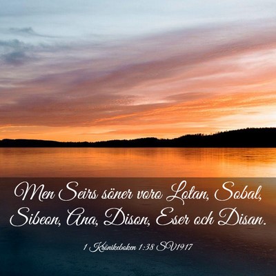 Picture 03 - 1 Krönikeboken 1:38 SV1917 - Men Seirs söner voro Lotan, Sobal, Sibeon, Ana, - Bible Verse Picture
