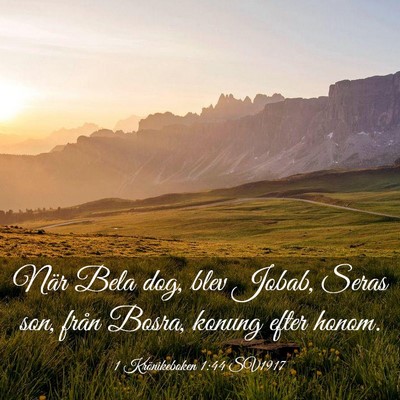 Picture 03 - 1 Krönikeboken 1:44 SV1917 - När Bela dog, blev Jobab, Seras son, från - Bible Verse Picture