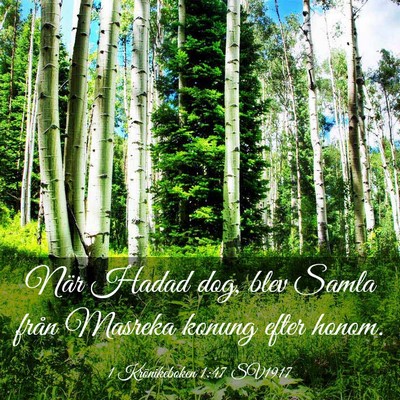 Picture 03 - 1 Krönikeboken 1:47 SV1917 - När Hadad dog, blev Samla från Masreka konung - Bible Verse Picture