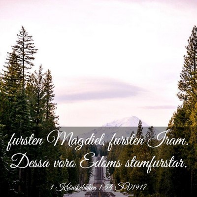Picture 03 - 1 Krönikeboken 1:54 SV1917 - fursten Magdiel, fursten Iram. Dessa voro Edoms - Bible Verse Picture