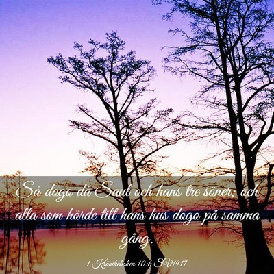 Picture 03 - 1 Krönikeboken 10:6 SV1917 - Så dogo då Saul och hans tre söner; och alla - Bible Verse Picture