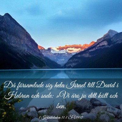 Picture 03 - 1 Krönikeboken 11:1 SV1917 - Då församlade sig hela Israel till David i - Bible Verse Picture