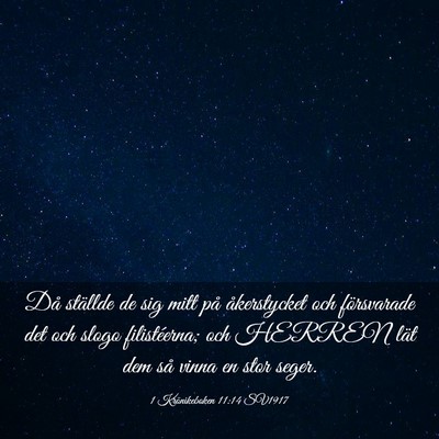 Picture 03 - 1 Krönikeboken 11:14 SV1917 - Då ställde de sig mitt på åkerstycket och - Bible Verse Picture
