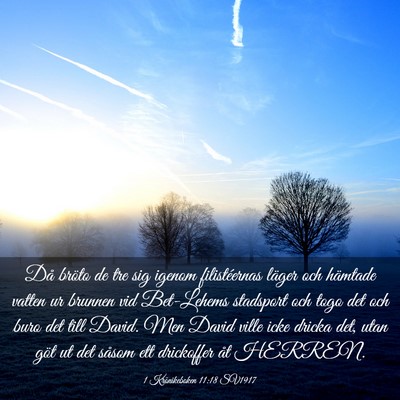 Picture 03 - 1 Krönikeboken 11:18 SV1917 - Då bröto de tre sig igenom filistéernas läger - Bible Verse Picture