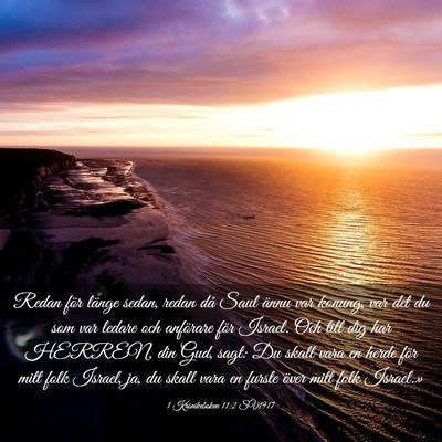 Picture 03 - 1 Krönikeboken 11:2 SV1917 - Redan för länge sedan, redan då Saul ännu var - Bible Verse Picture