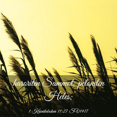 Picture 03 - 1 Krönikeboken 11:27 SV1917 - haroriten Sammot; peloniten - Bible Verse Picture