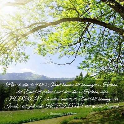 Picture 03 - 1 Krönikeboken 11:3 SV1917 - När så alla de äldste i Israel kommo till - Bible Verse Picture