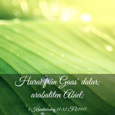 Picture 03 - 1 Krönikeboken 11:32 SV1917 - Hurai från Gaas' dalar; arabatiten - Bible Verse Picture