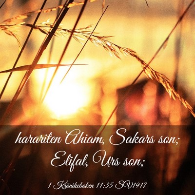 Picture 03 - 1 Krönikeboken 11:35 SV1917 - harariten Ahiam, Sakars son; Elifal, Urs - Bible Verse Picture