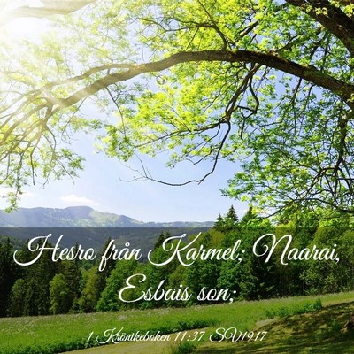 Picture 03 - 1 Krönikeboken 11:37 SV1917 - Hesro från Karmel; Naarai, Esbais - Bible Verse Picture