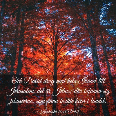 Picture 03 - 1 Krönikeboken 11:4 SV1917 - Och David drog med hela Israel till Jerusalem, - Bible Verse Picture