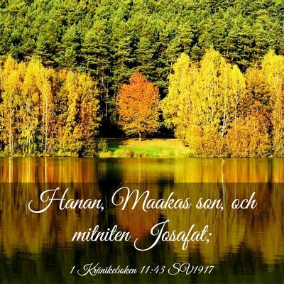 Picture 03 - 1 Krönikeboken 11:43 SV1917 - Hanan, Maakas son, och mitniten - Bible Verse Picture