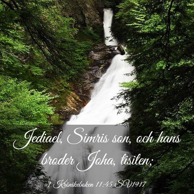 Picture 03 - 1 Krönikeboken 11:45 SV1917 - Jediael, Simris son, och hans broder Joha, - Bible Verse Picture