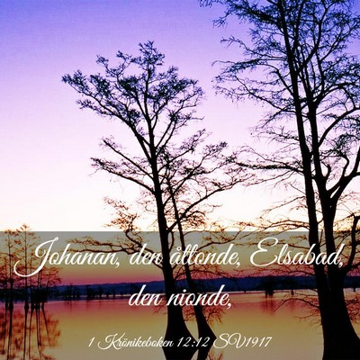 Picture 03 - 1 Krönikeboken 12:12 SV1917 - Johanan, den åttonde, Elsabad, den - Bible Verse Picture