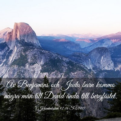Picture 03 - 1 Krönikeboken 12:16 SV1917 - Av Benjamins och Juda barn kommo några män till - Bible Verse Picture