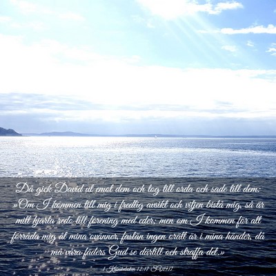 Picture 03 - 1 Krönikeboken 12:17 SV1917 - Då gick David ut emot dem och tog till orda och - Bible Verse Picture