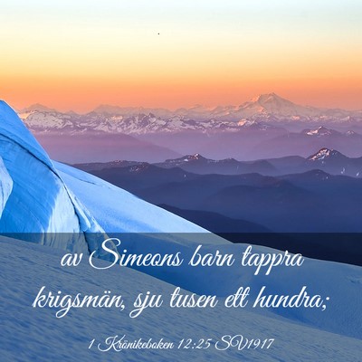 Picture 03 - 1 Krönikeboken 12:25 SV1917 - av Simeons barn tappra krigsmän, sju tusen ett - Bible Verse Picture