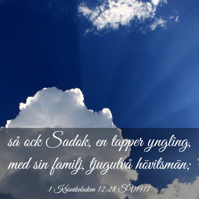 Picture 03 - 1 Krönikeboken 12:28 SV1917 - så ock Sadok, en tapper yngling, med sin familj, - Bible Verse Picture