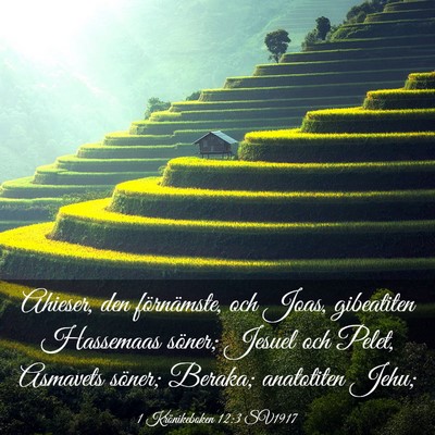 Picture 03 - 1 Krönikeboken 12:3 SV1917 - Ahieser, den förnämste, och Joas, gibeatiten - Bible Verse Picture