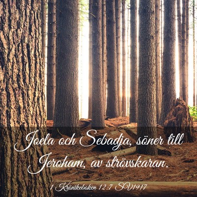 Picture 03 - 1 Krönikeboken 12:7 SV1917 - Joela och Sebadja, söner till Jeroham, av - Bible Verse Picture
