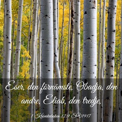 Picture 03 - 1 Krönikeboken 12:9 SV1917 - Eser, den förnämste, Obadja, den andre, Eliab, - Bible Verse Picture