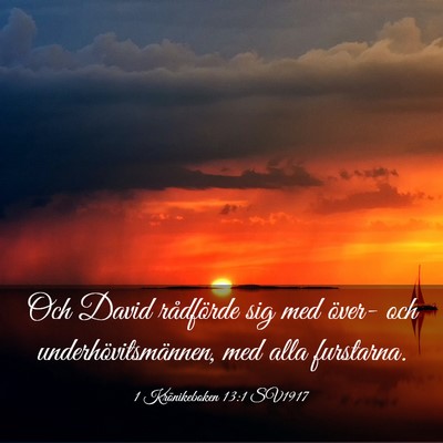 Picture 03 - 1 Krönikeboken 13:1 SV1917 - Och David rådförde sig med över- och - Bible Verse Picture