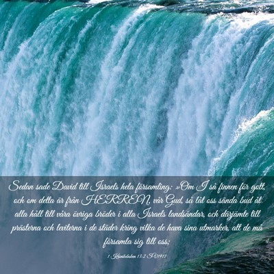 Picture 03 - 1 Krönikeboken 13:2 SV1917 - Sedan sade David till Israels hela församling: - Bible Verse Picture