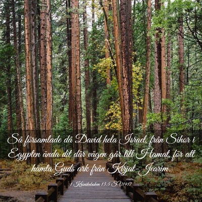 Picture 03 - 1 Krönikeboken 13:5 SV1917 - Så församlade då David hela Israel, från - Bible Verse Picture