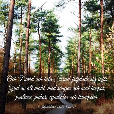Picture 03 - 1 Krönikeboken 13:8 SV1917 - Och David och hela Israel fröjdade sig inför - Bible Verse Picture
