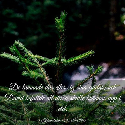 Picture 03 - 1 Krönikeboken 14:12 SV1917 - De lämnade där efter sig sina gudar; och David - Bible Verse Picture