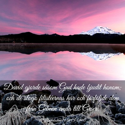 Picture 03 - 1 Krönikeboken 14:16 SV1917 - David gjorde såsom Gud hade bjudit honom; och de - Bible Verse Picture