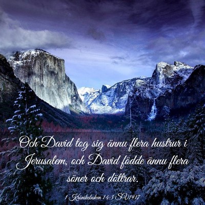 Picture 03 - 1 Krönikeboken 14:3 SV1917 - Och David tog sig ännu flera hustrur i - Bible Verse Picture