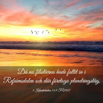 Picture 03 - 1 Krönikeboken 14:9 SV1917 - Då nu filistéerna hade fallit in i Refaimsdalen - Bible Verse Picture