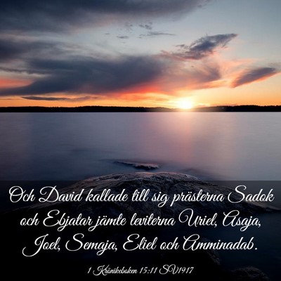 Picture 03 - 1 Krönikeboken 15:11 SV1917 - Och David kallade till sig prästerna Sadok och - Bible Verse Picture